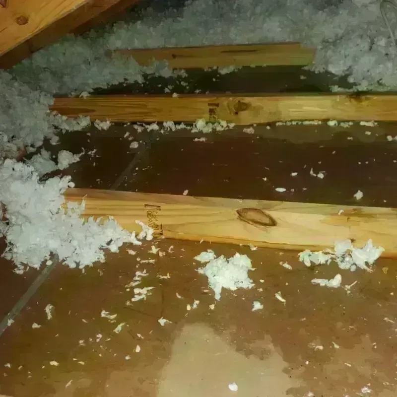 Attic Water Damage in Bunker Hill, IL