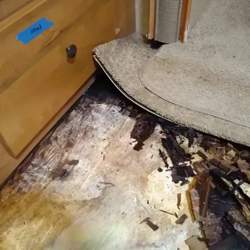 Wood Floor Water Damage in Bunker Hill, IL